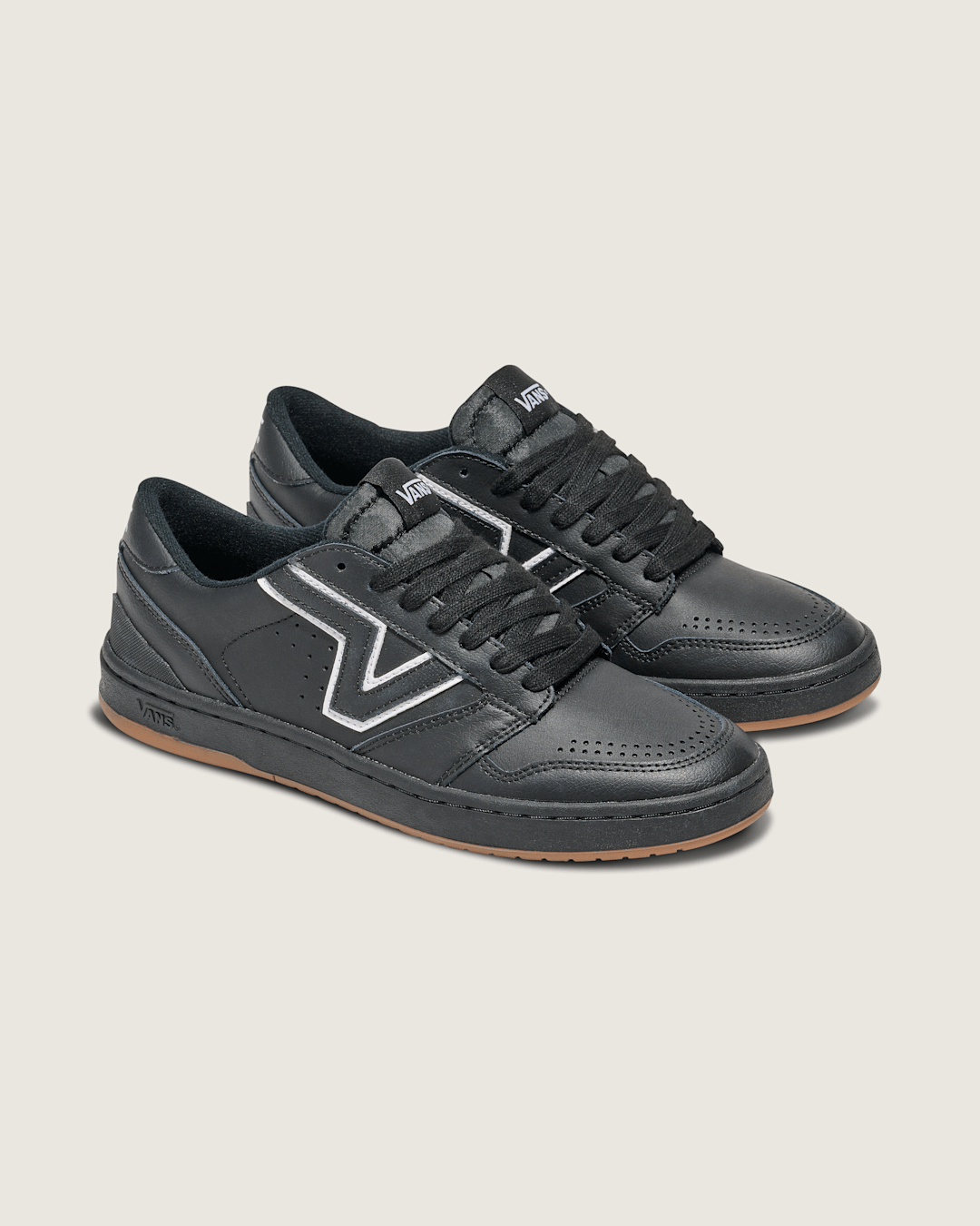 Lowland 2.0 Shoe in Black / White | Vans discount