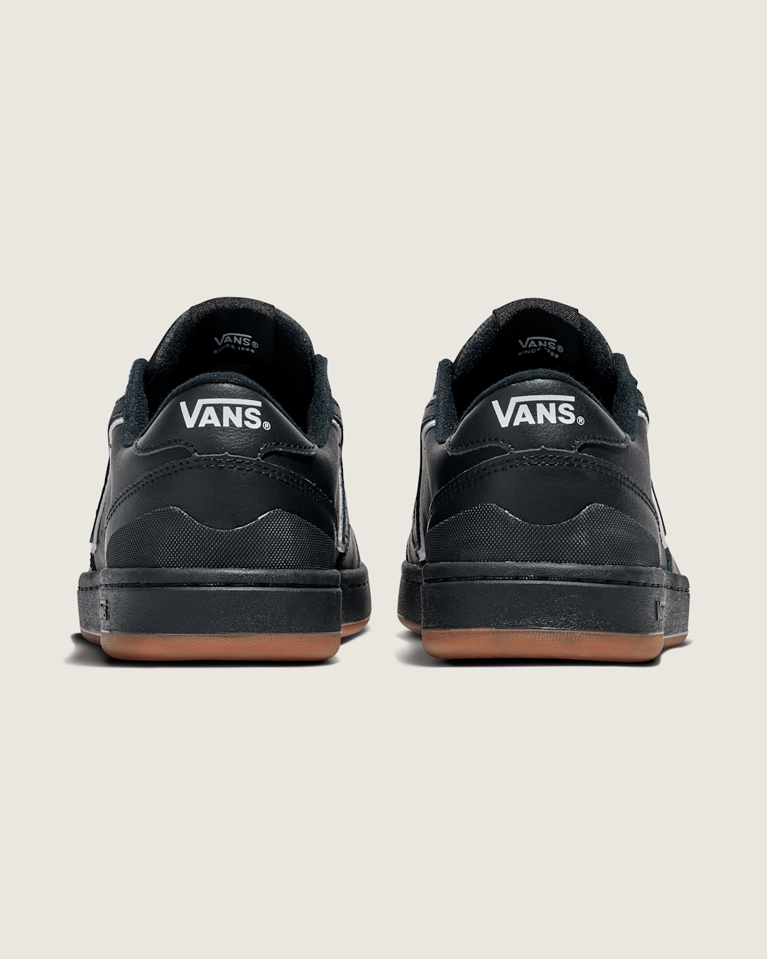 Lowland 2.0 Shoe in Black / White | Vans discount