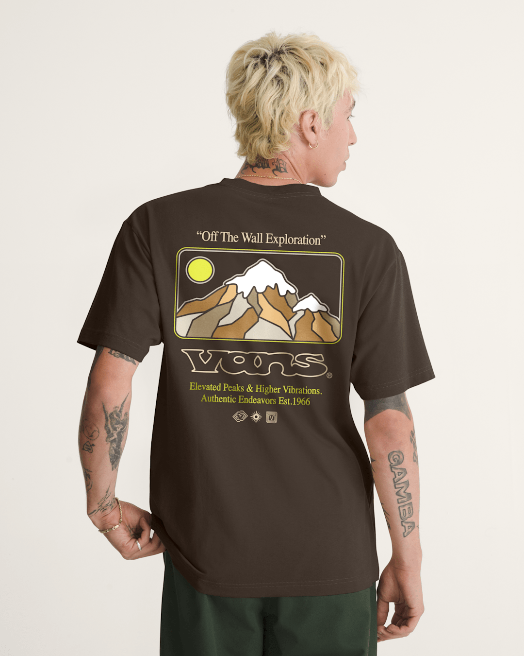 Elevated Peaks T-Shirt in Demitasse Brown | Vans outlet