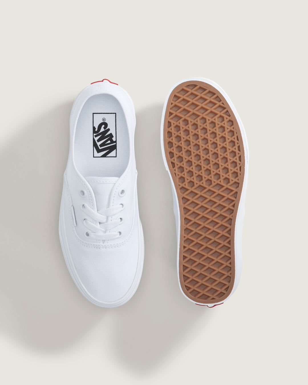 Big Kids Authentic Shoe in True White | Vans discount
